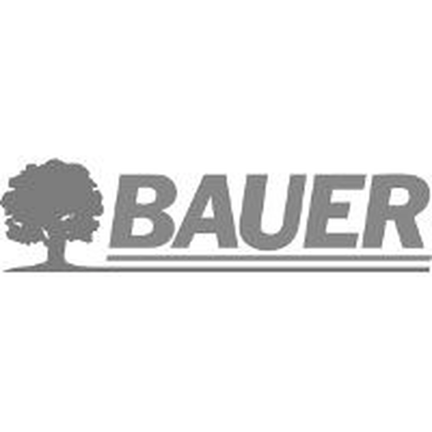 Bauer Elektrodosensysteme GmbH – Logo